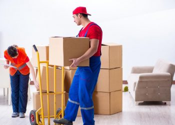 Professional Movers In Dubai