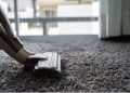 Carpet Cleaning Pimpama | Book your Carpet Cleaning today