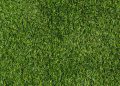 The low-maintenance lawn solution: artificial turf